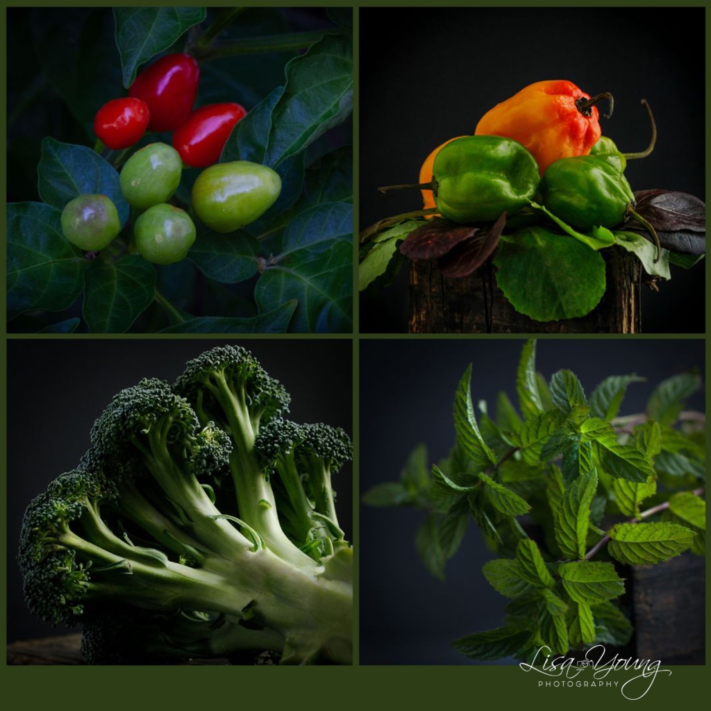 Dark & Moody Food Photography-Green