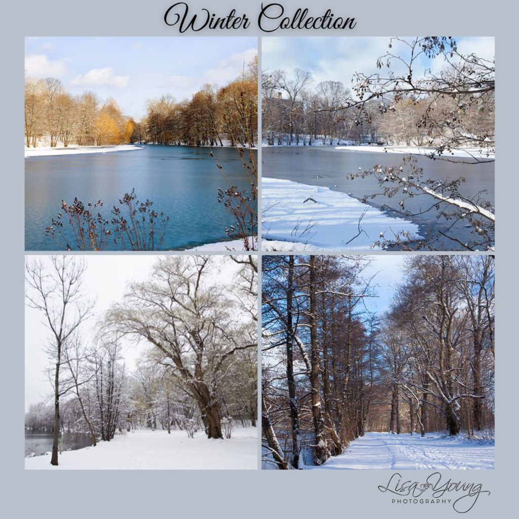 Winter Photography Collections